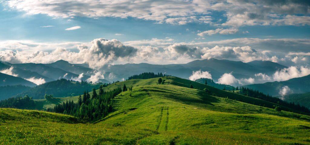 Eine grüne Landschaft