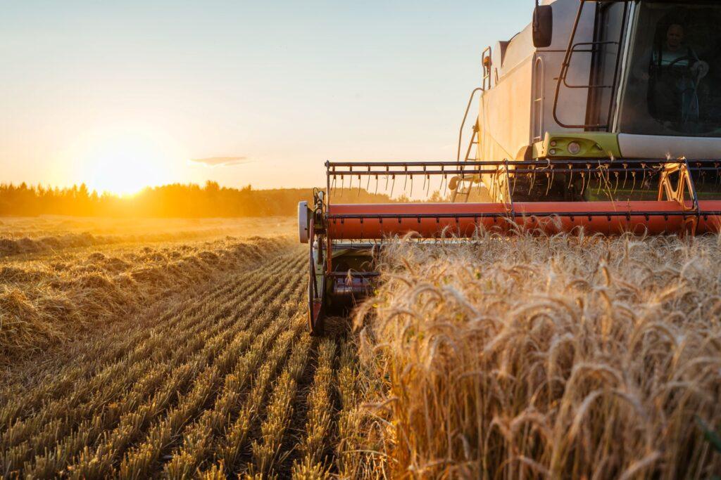 Traktor erntet Getreide bei Sonnenaufgang – Symbolbild fuer moderne Landwirtschaft und durchdachte Arbeitsschritte