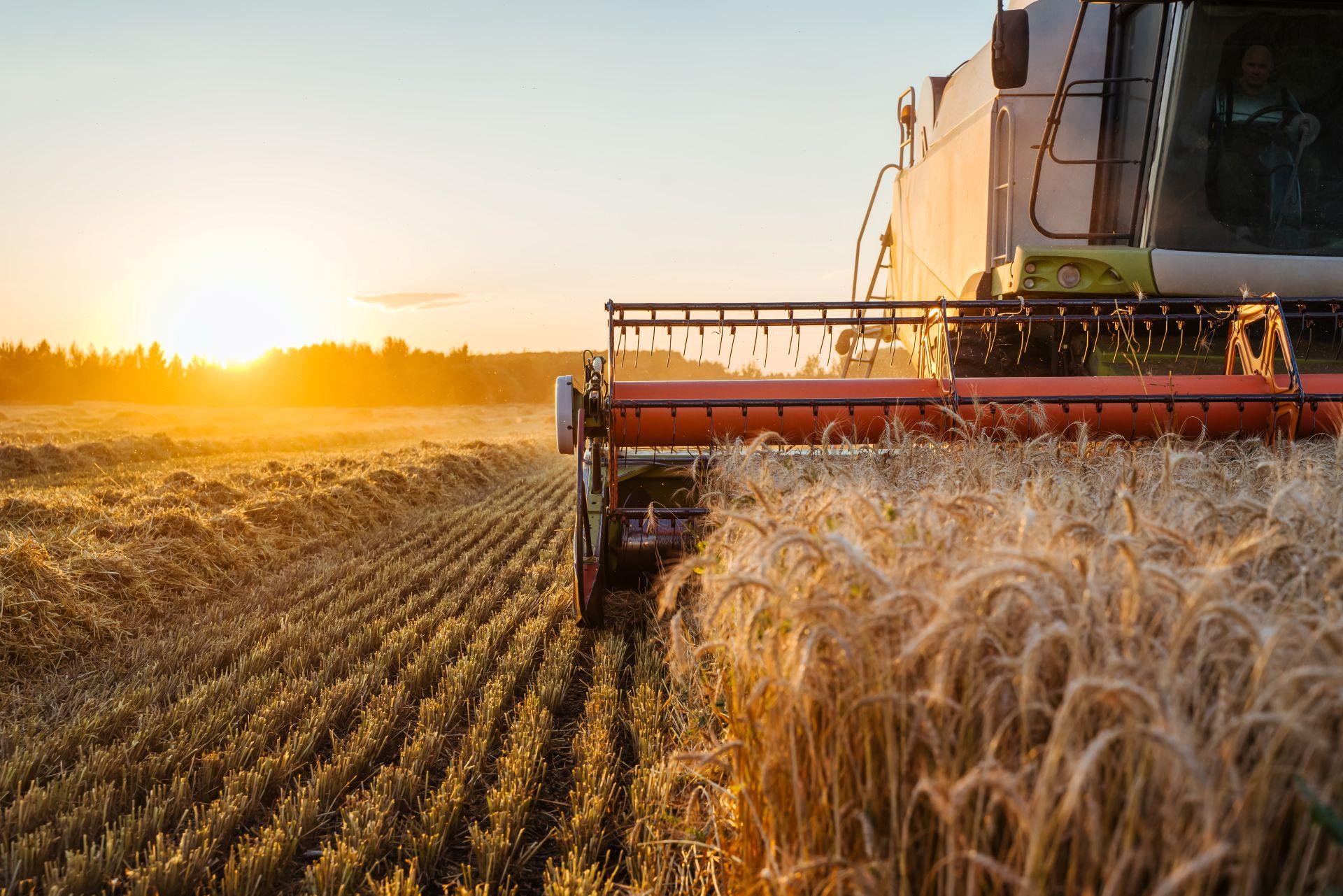 Traktor erntet Getreide bei Sonnenaufgang – Symbolbild fuer moderne Landwirtschaft und durchdachte Arbeitsschritte
