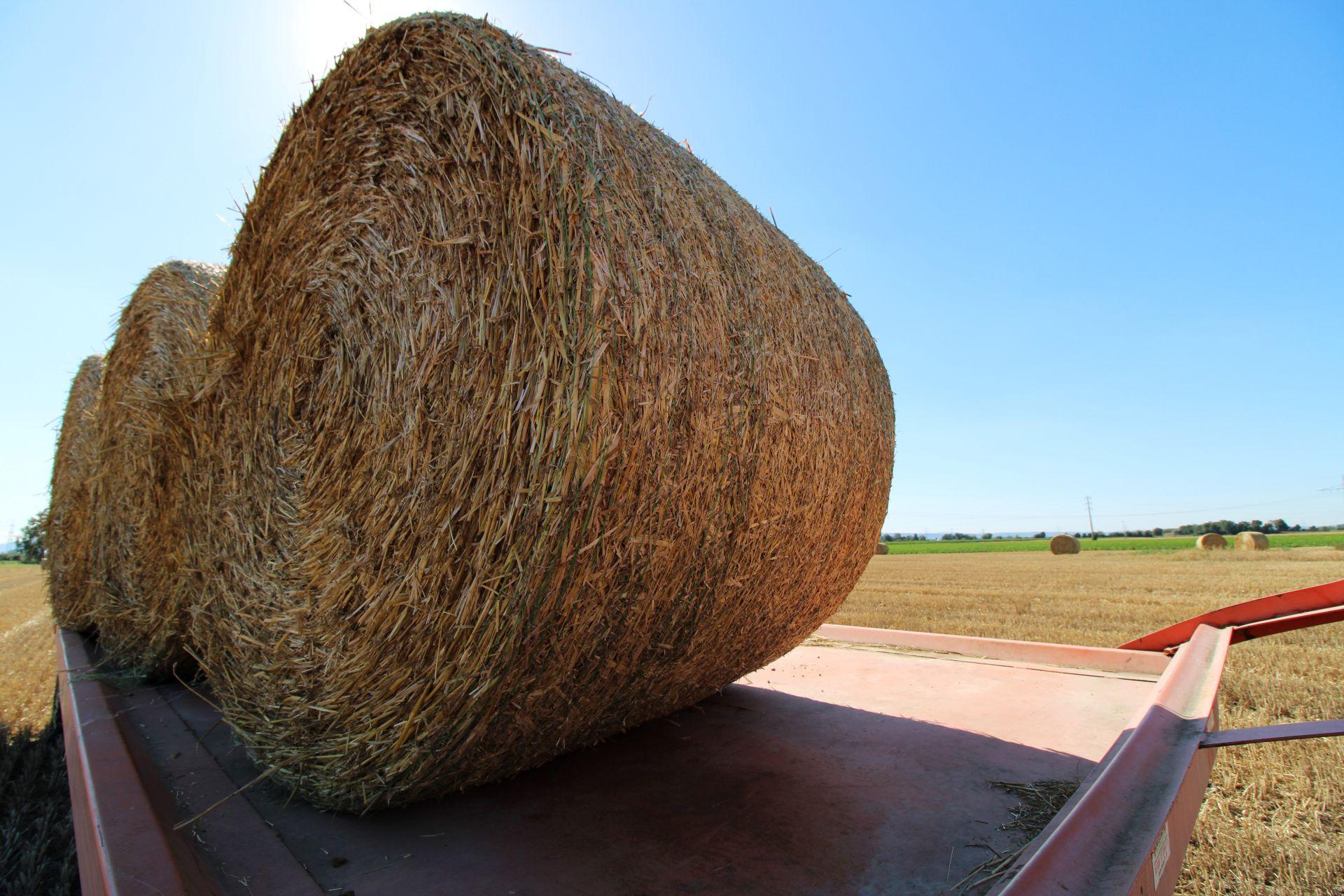 Große Heuballen auf einem Hänger vor weiter Landschaft – Ballentransport als Teil einer sicheren Erntekette mit Rundballennetz