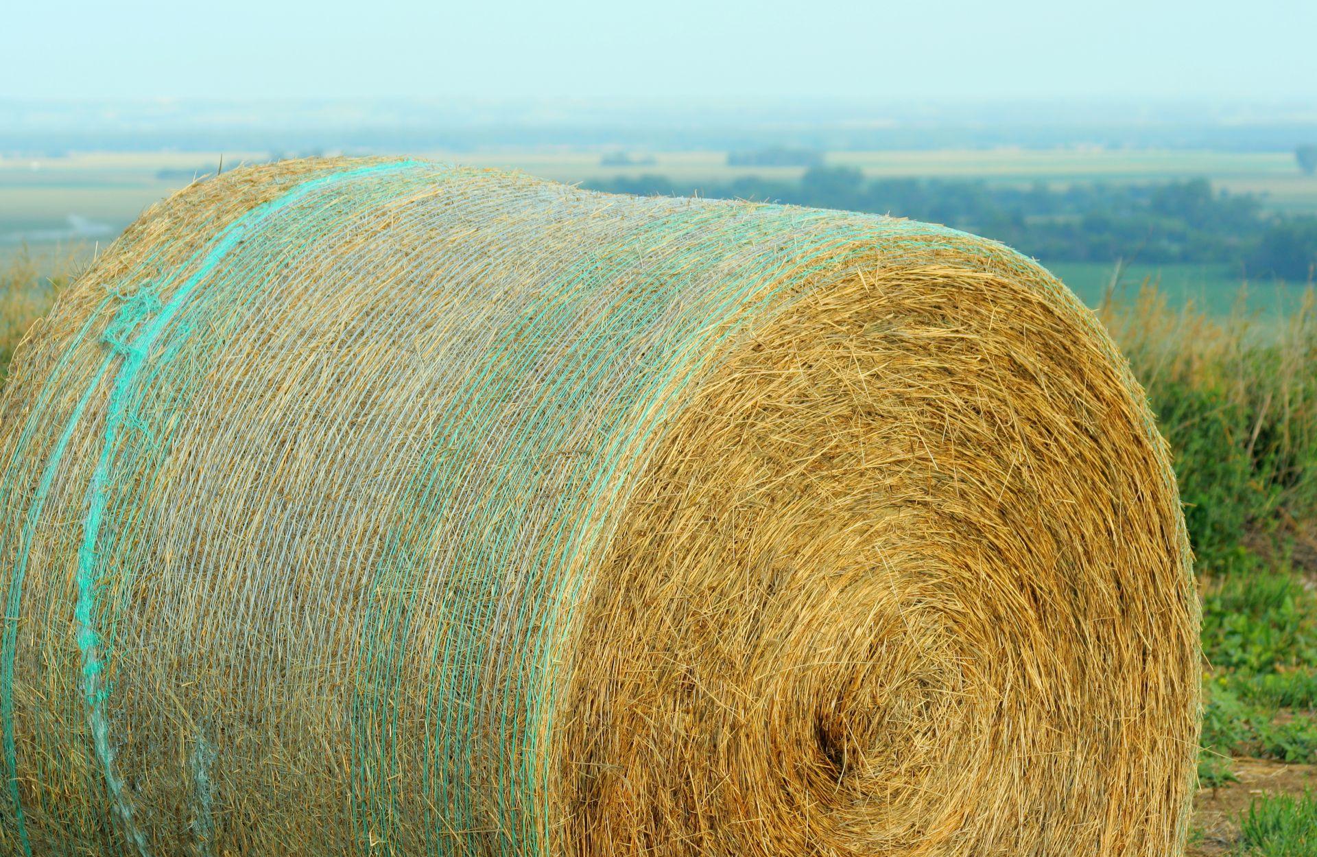 Nahaufnahme eines Heuballens mit gruenem Rundballennetz vor bewolktem Horizont – Beispiel fuer witterungsbestaendigen Schutz